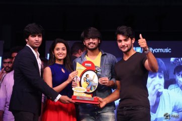 Seethamma Andaalu Raamayya Sithraalu Platinum Disc Function
